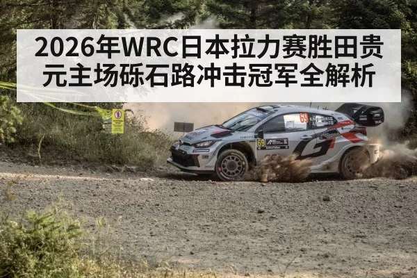 forest gravel road rally stage